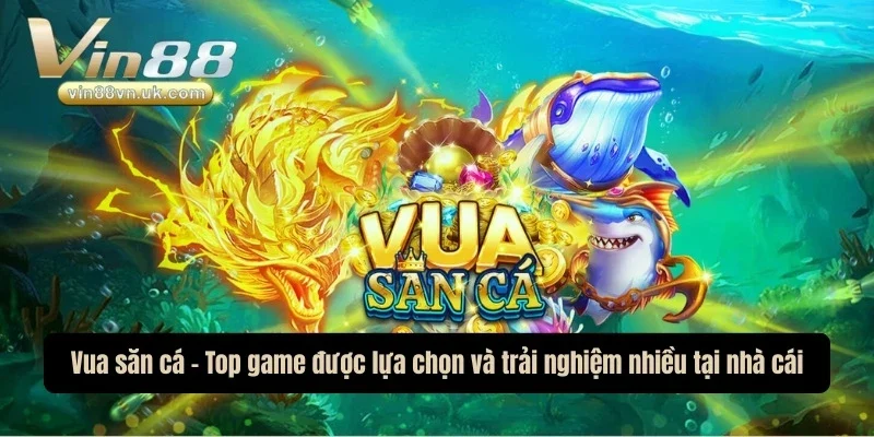 Vua săn cá - Top game được lựa chọn và trải nghiệm nhiều tại nhà cái Vua săn cá - Top game được lựa chọn và trải nghiệm nhiều tại nhà cái