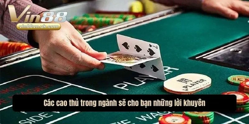 Các cao thủ trong ngành sẽ cho bạn những lời khuyên Các cao thủ trong ngành sẽ cho bạn những lời khuyên