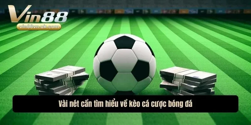 Vài nét cần tìm hiểu về kèo cá cược bóng đá Vài nét cần tìm hiểu về kèo cá cược bóng đá