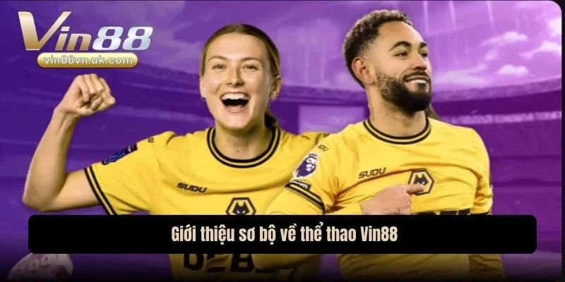  Giới thiệu sơ bộ về thể thao Vin88